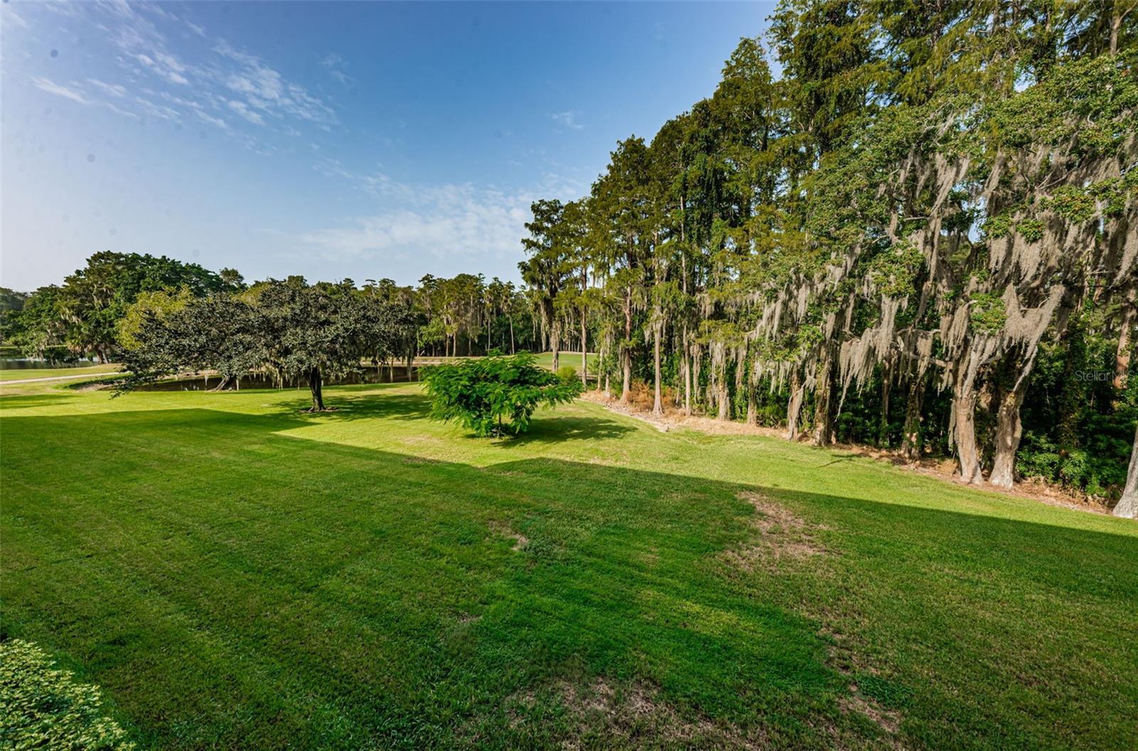 36750 US HIGHWAY 19 N #3-209, PALM HARBOR, FL — photo 46