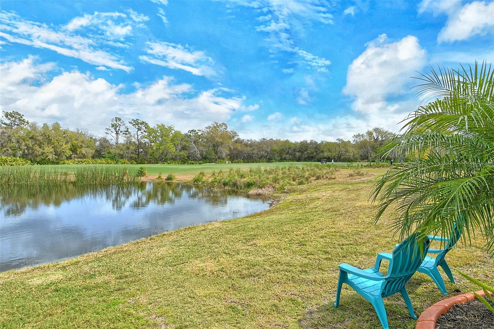 4735 CABREO CT, LAKEWOOD RANCH, FL — photo 60