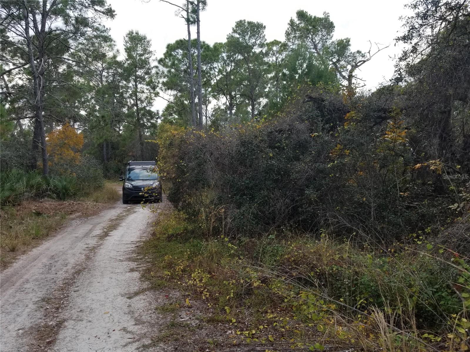 4606 PIEDMONT AVE, SEBRING, FL — photo 2