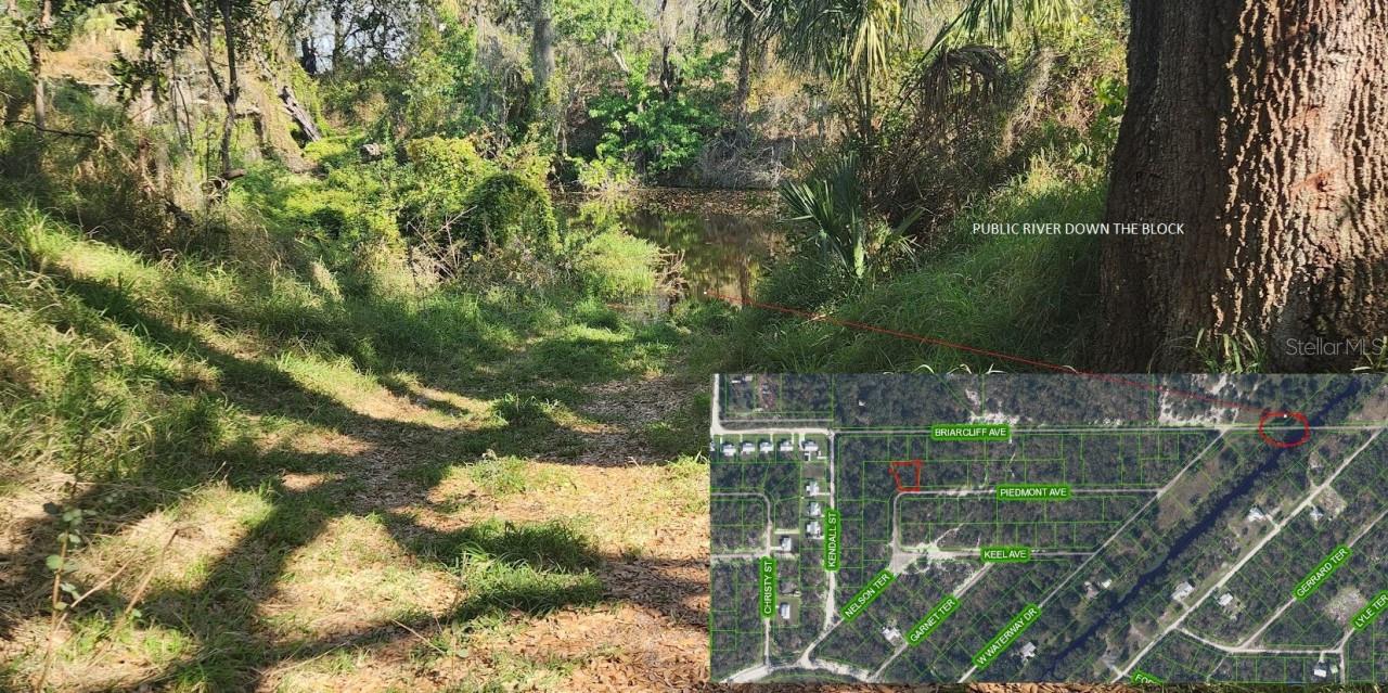 4606 PIEDMONT AVE, SEBRING, FL — photo 4
