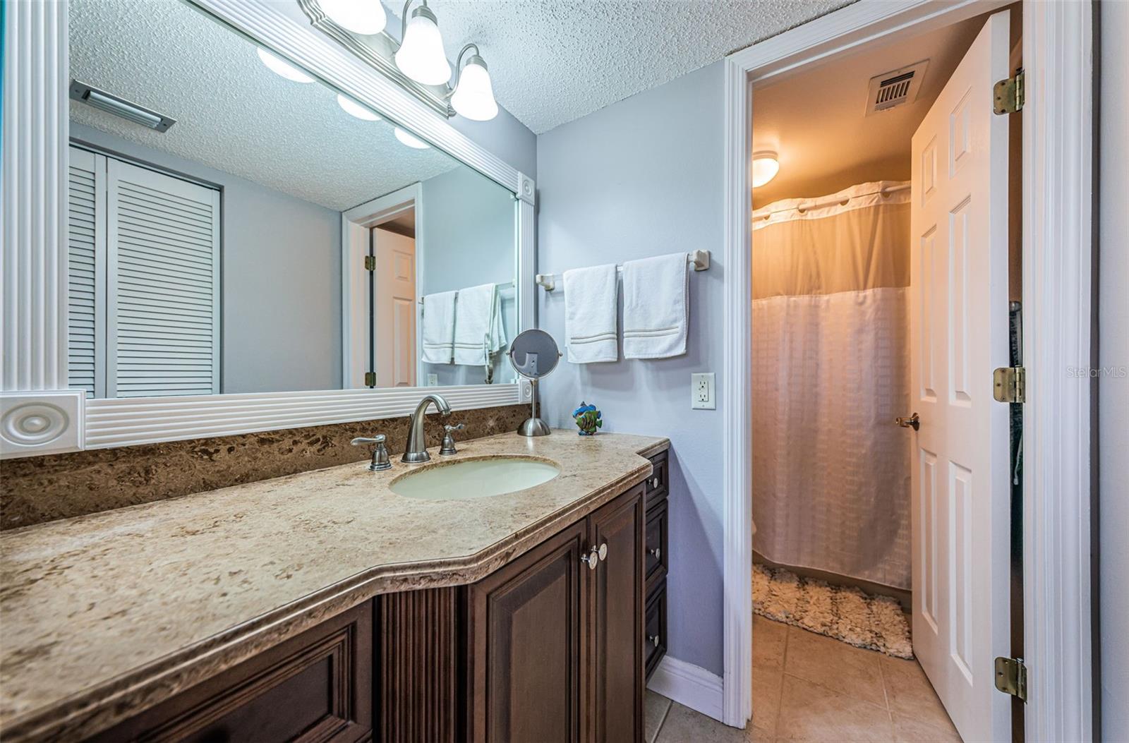 6295 BAHIA DEL MAR CIR #405, ST PETERSBURG, FL — photo 31