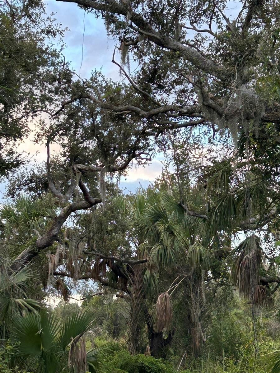 29431 NOTTINGHAM RD, PUNTA GORDA, FL — photo 5