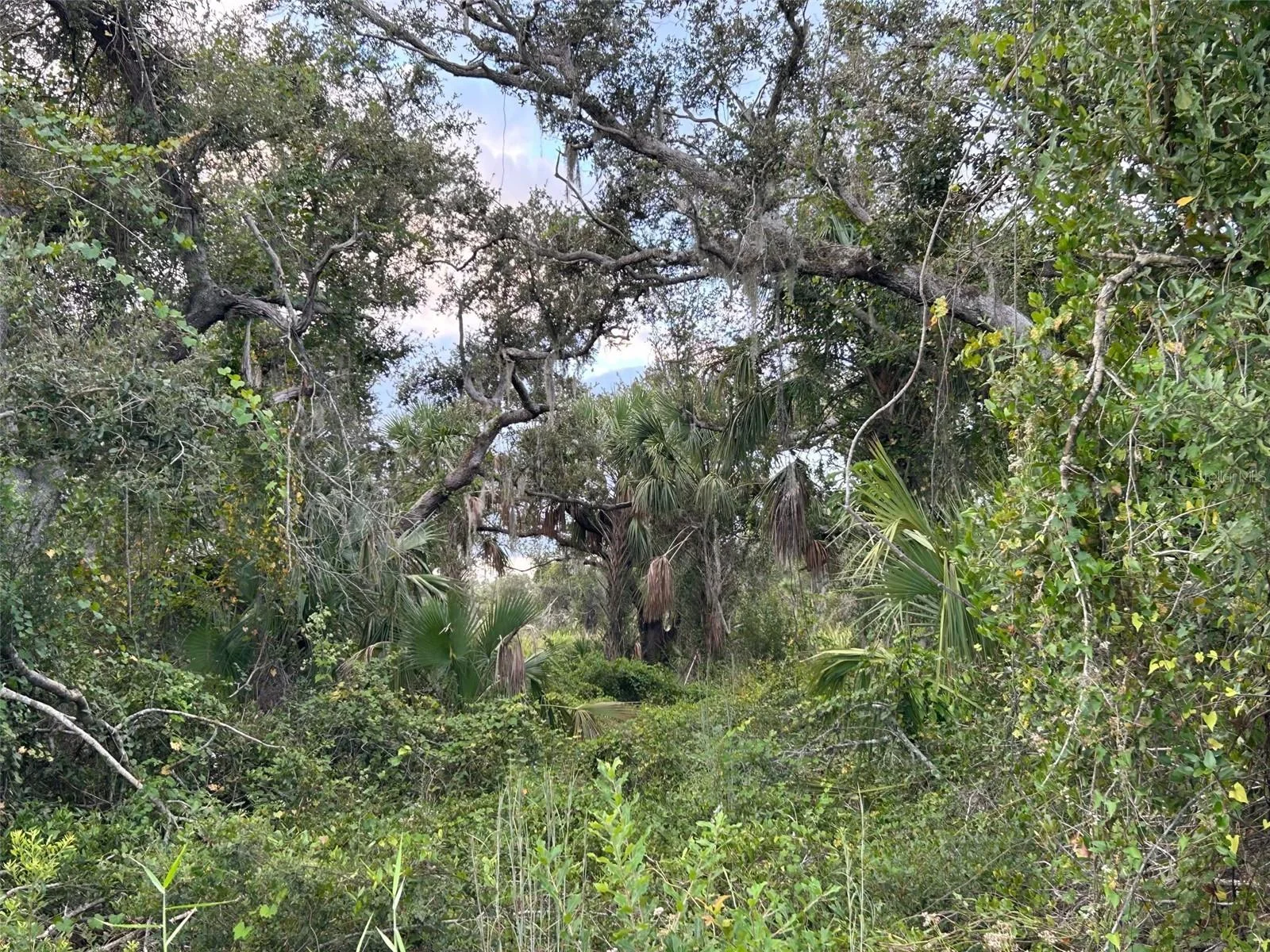 29431 NOTTINGHAM RD, PUNTA GORDA, FL — photo 10