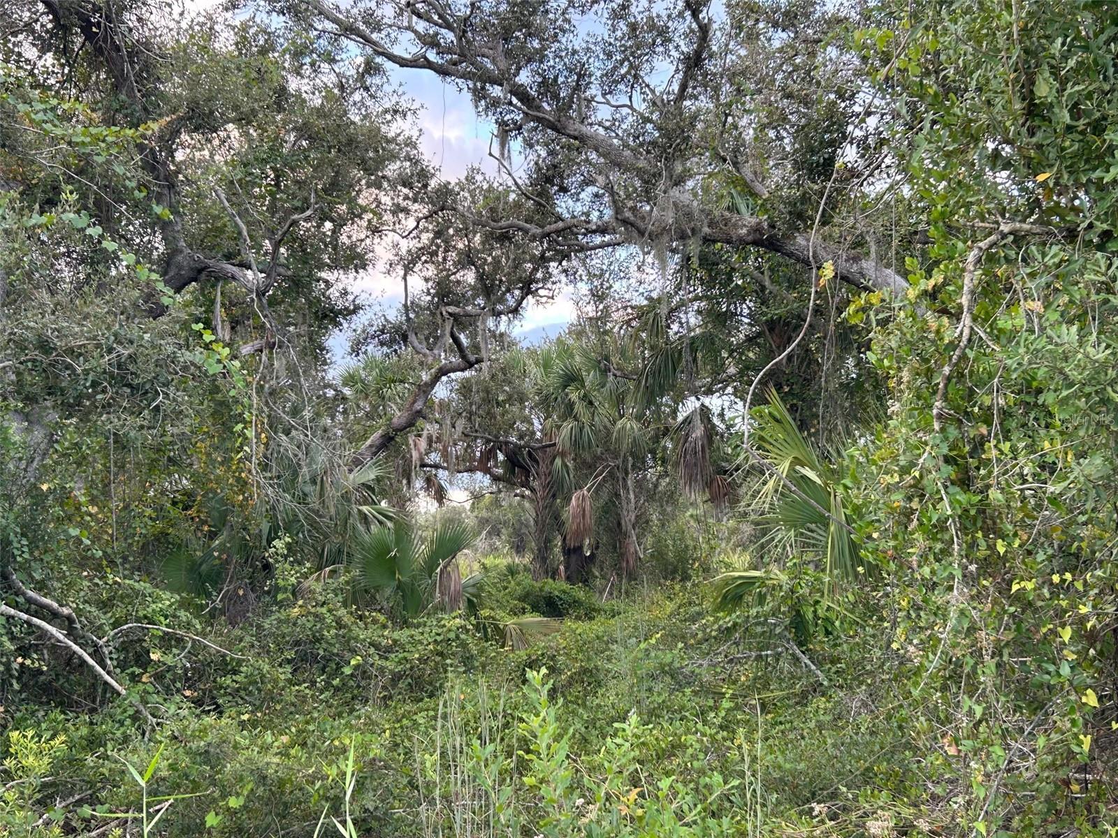 29431 NOTTINGHAM RD, PUNTA GORDA, FL — photo 9
