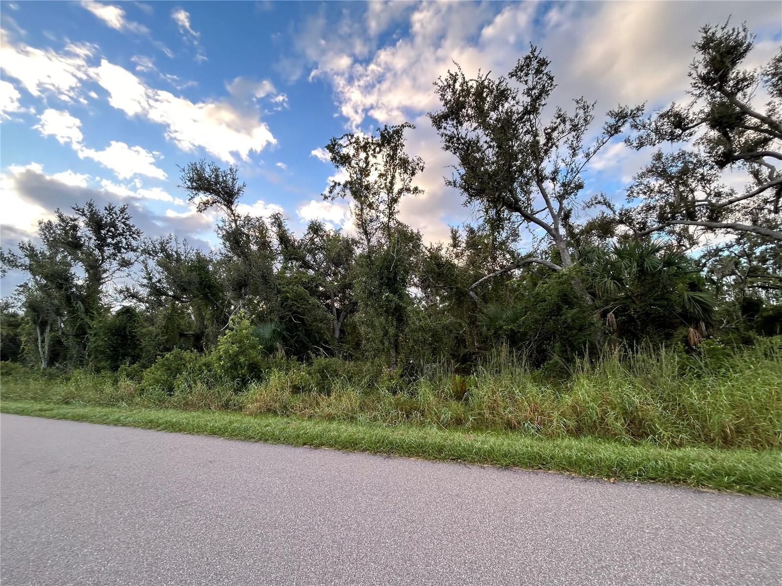 29431 NOTTINGHAM RD, PUNTA GORDA, FL — photo 11