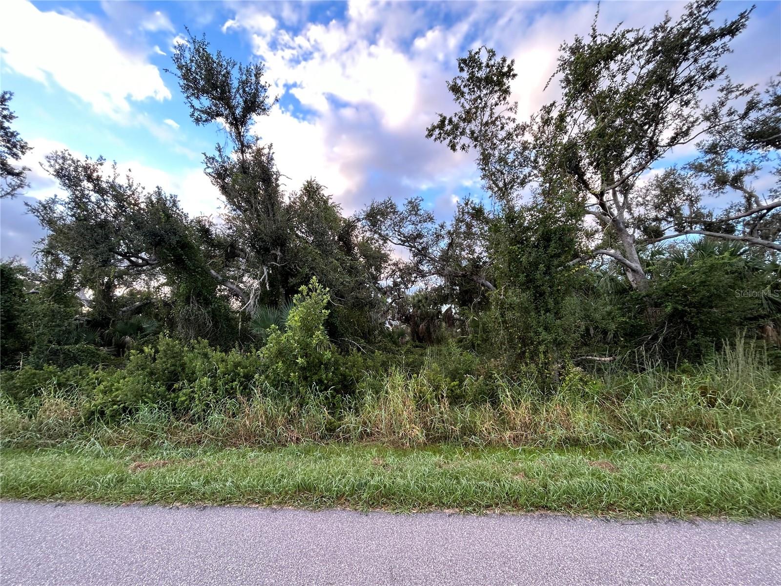 29431 NOTTINGHAM RD, PUNTA GORDA, FL — photo 13