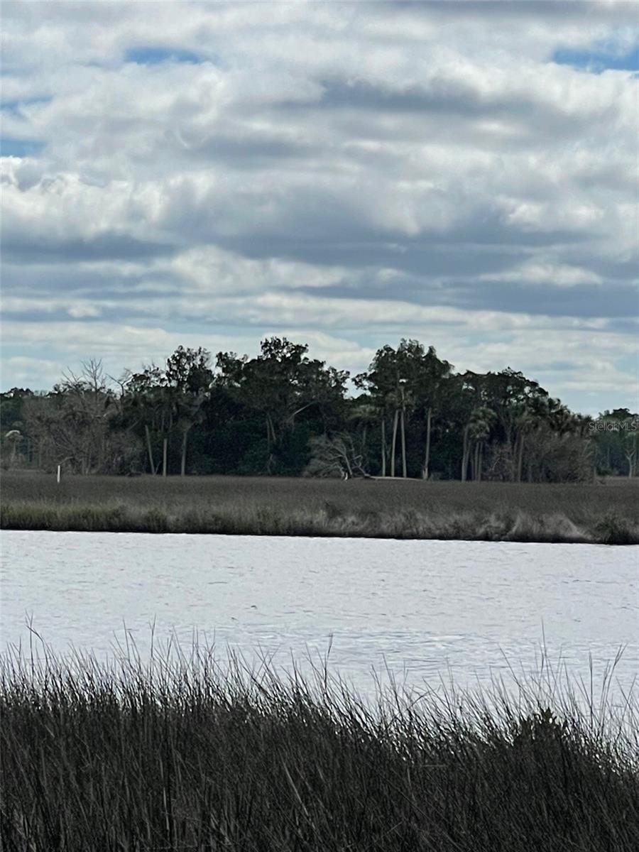 12214 W RESTVIEW CT, HOMOSASSA, FL — photo 9