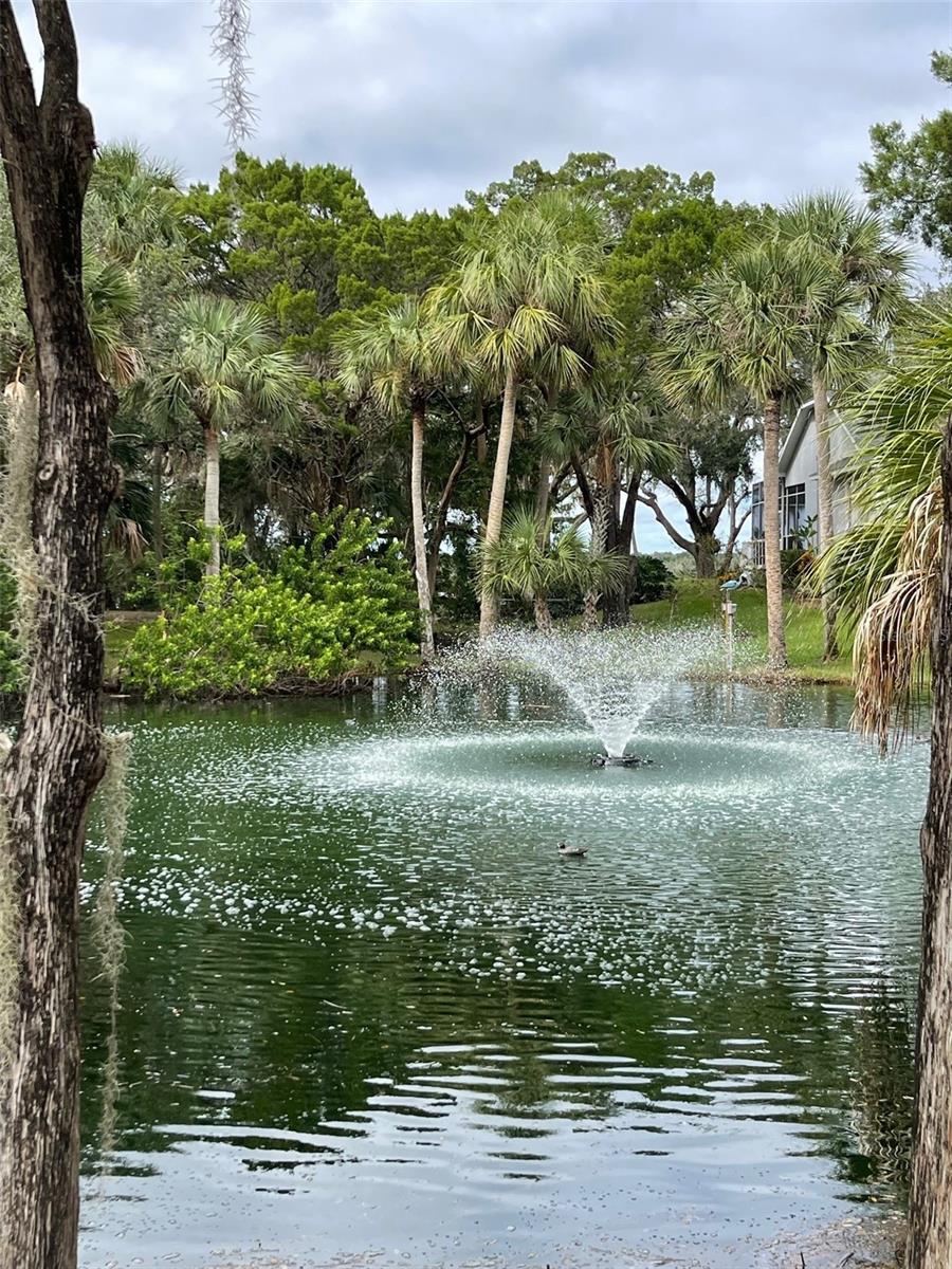 12214 W RESTVIEW CT, HOMOSASSA, FL — photo 11