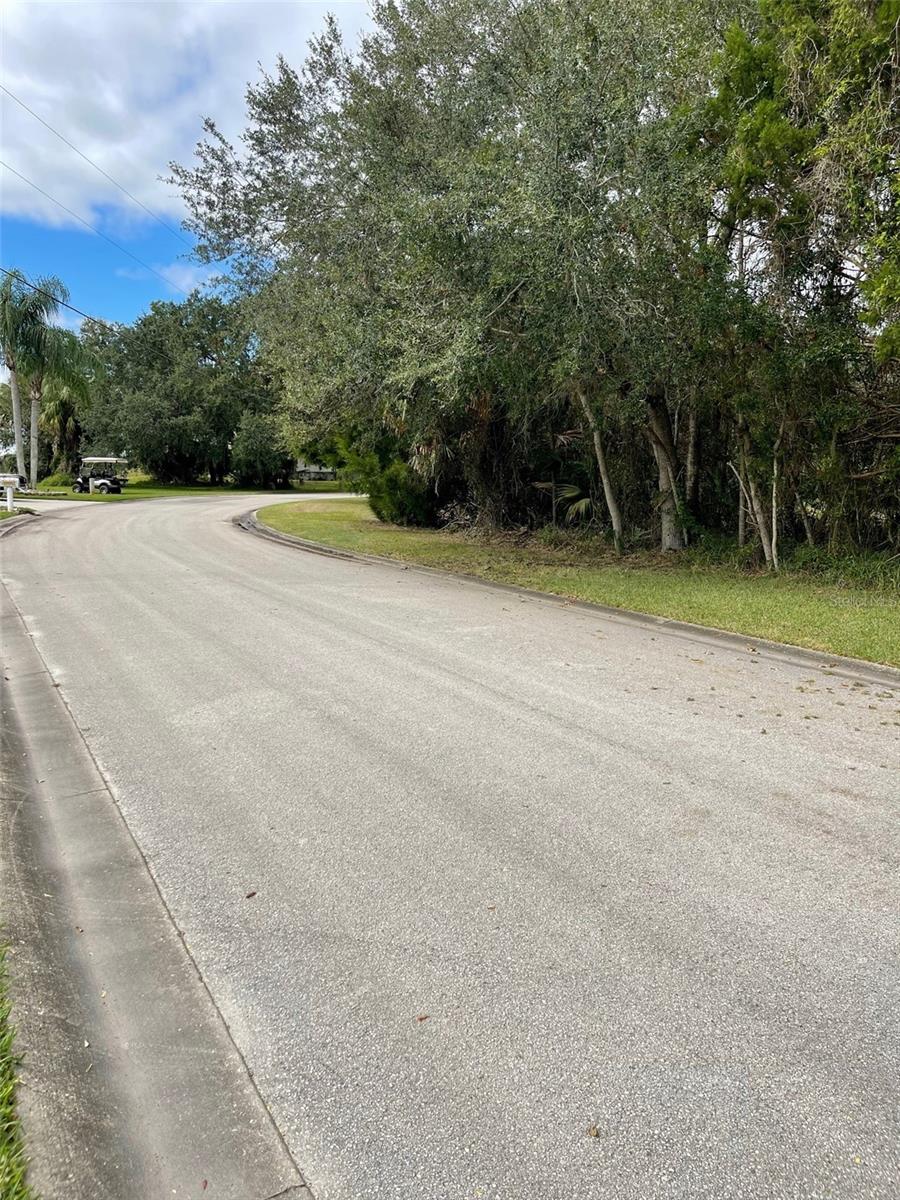 12214 W RESTVIEW CT, HOMOSASSA, FL — photo 15