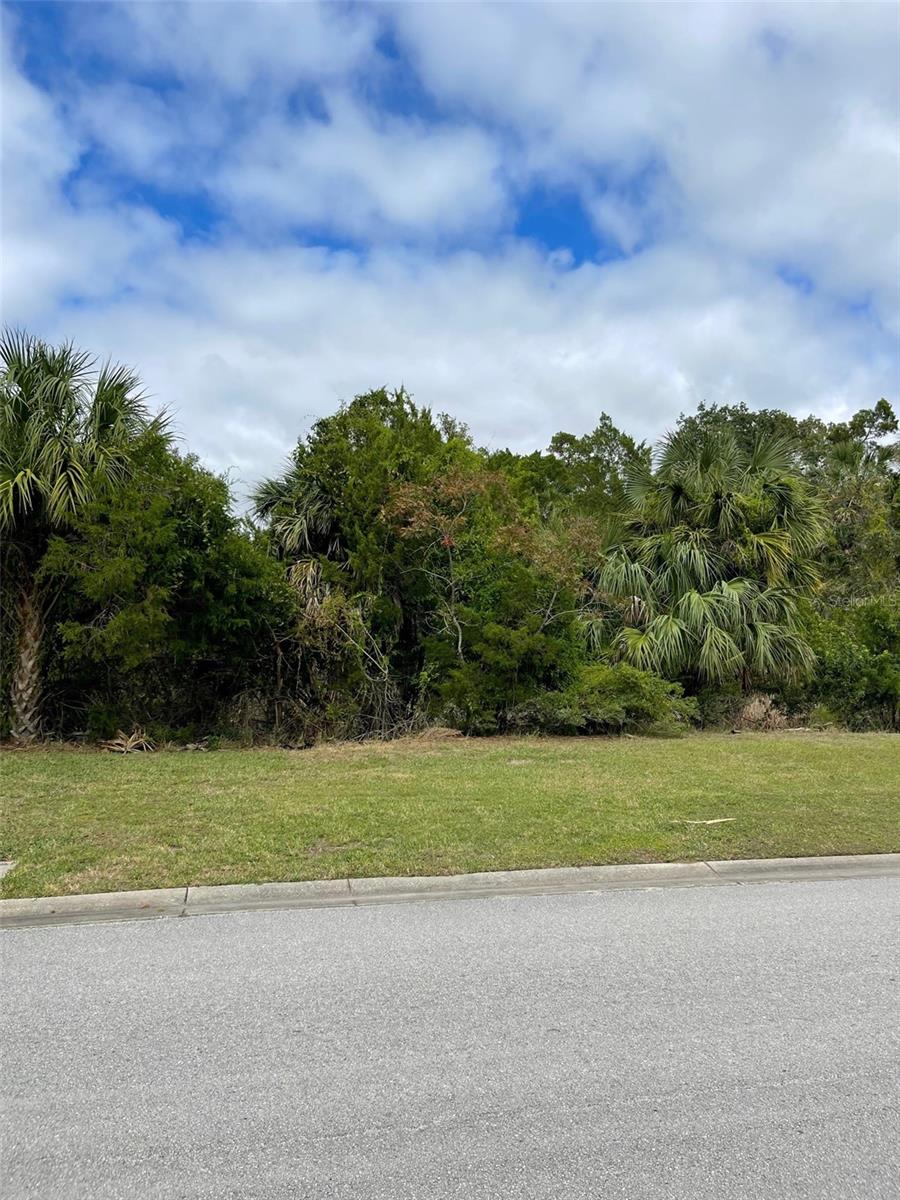 12214 W RESTVIEW CT, HOMOSASSA, FL — photo 16