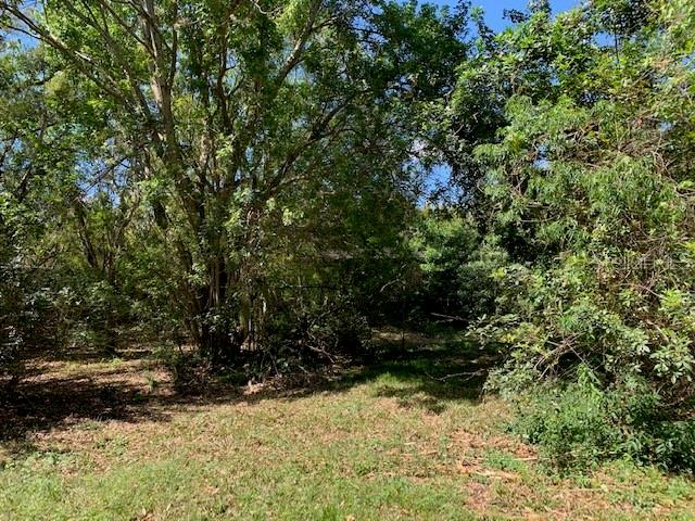 1290 CINDER LN, KISSIMMEE, FL — photo 7