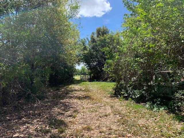 1290 CINDER LN, KISSIMMEE, FL — photo 10