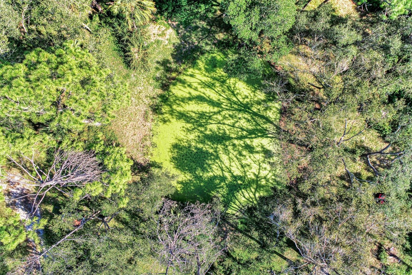 Lot 2 TROPICAIRE BLVD, NORTH PORT, FL — photo 8