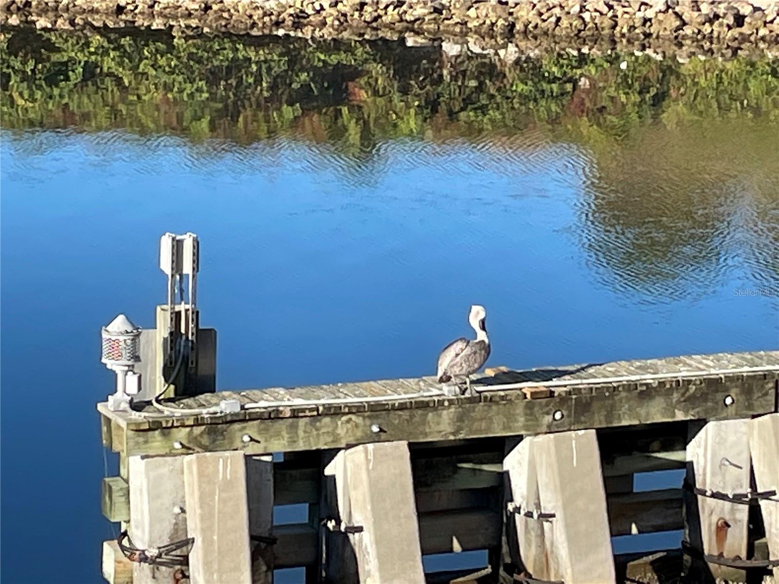 333 THE ESPLANADE N #108, VENICE, FL — photo 93