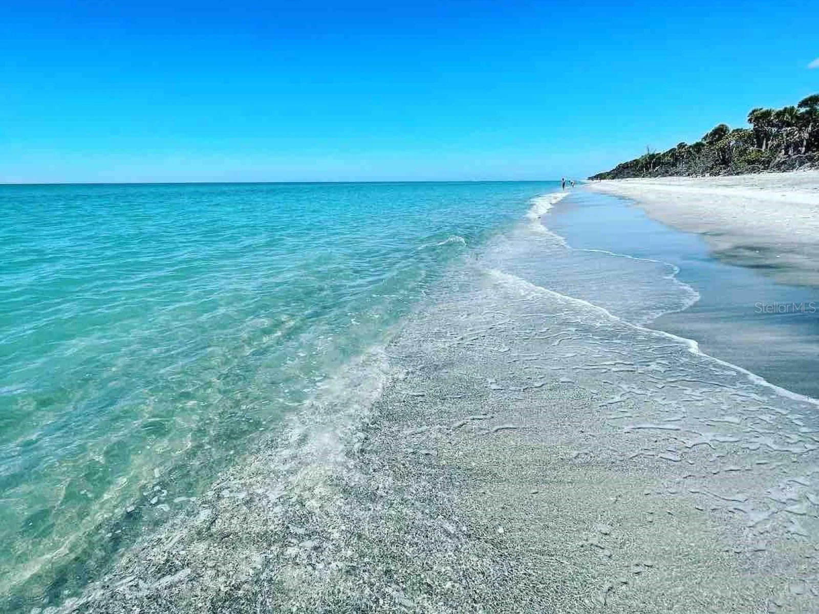333 THE ESPLANADE N #108, VENICE, FL — photo 96
