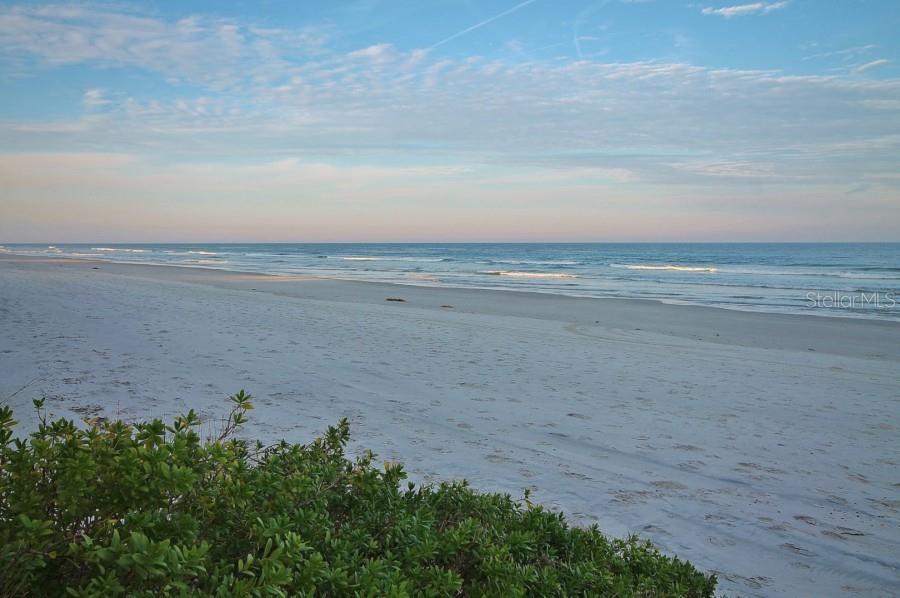 421 SOUTH ATLANTIC AVE #806, NEW SMYRNA BEACH, FL — photo 50
