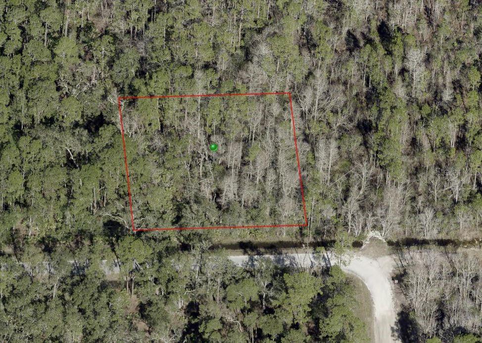 BLOSSOM RD, DELAND, FL