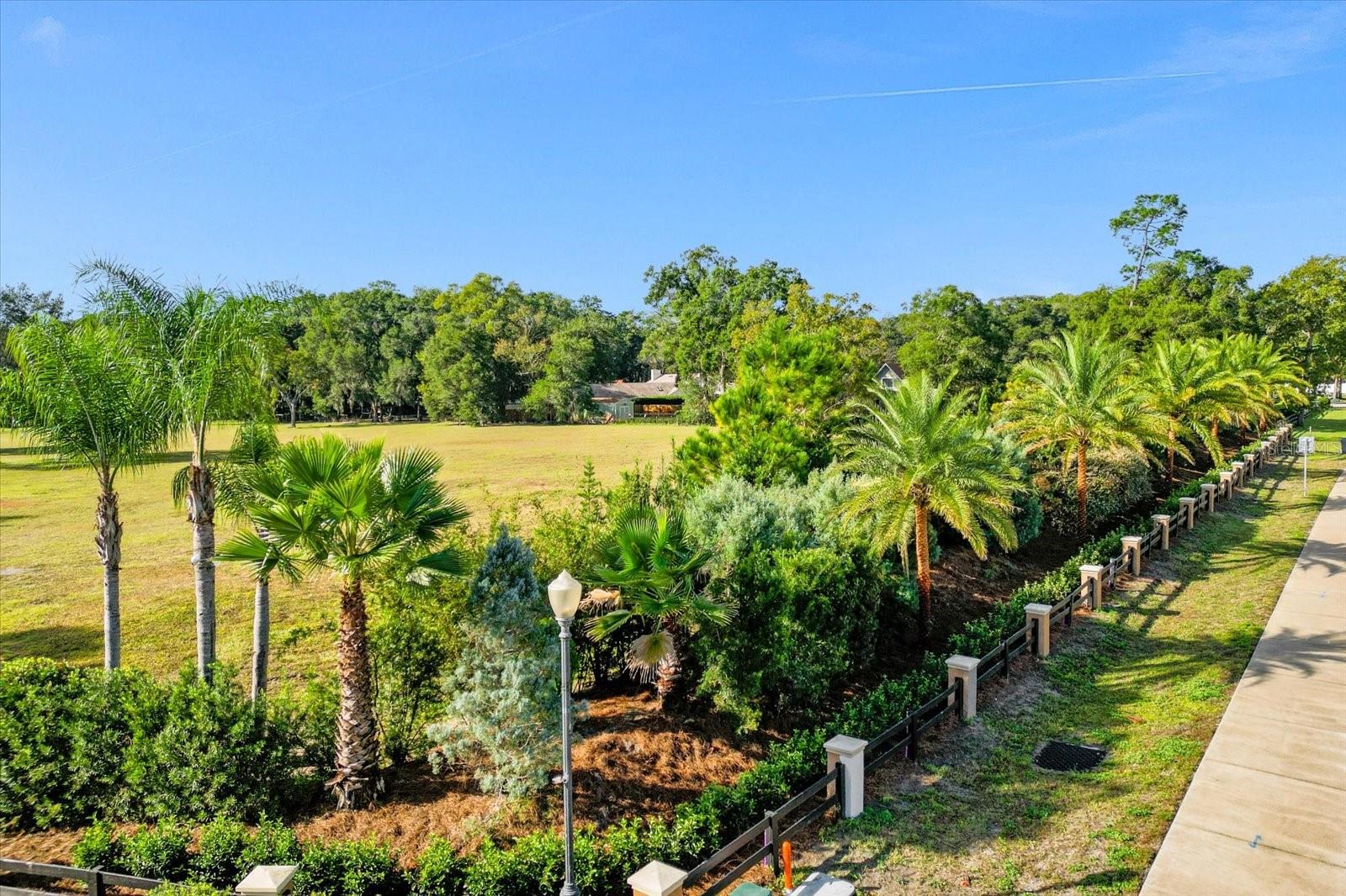 314 GRAVINA PT, SANFORD, FL — photo 13
