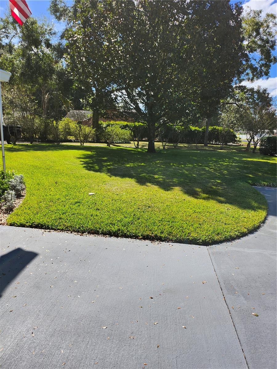 411 BRYAN RD, BRANDON, FL — photo 6