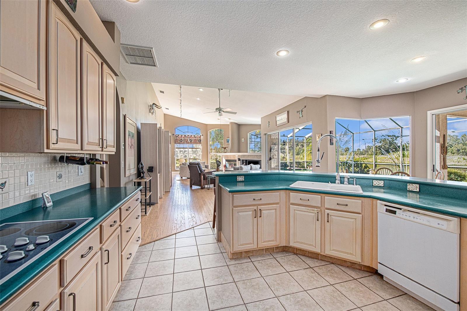 331 LEWIS RD, LITHIA, FL — photo 14