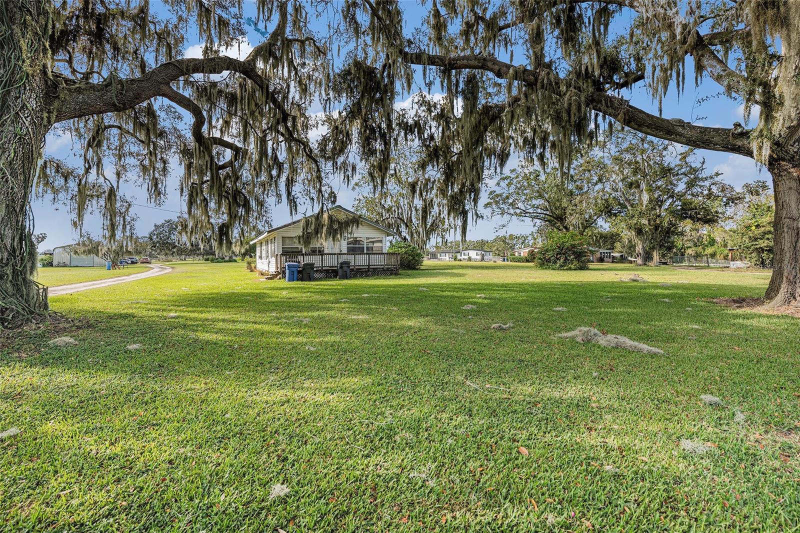 331 LEWIS RD, LITHIA, FL — photo 47