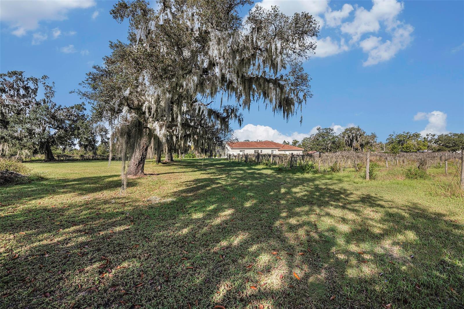 331 LEWIS RD, LITHIA, FL — photo 49