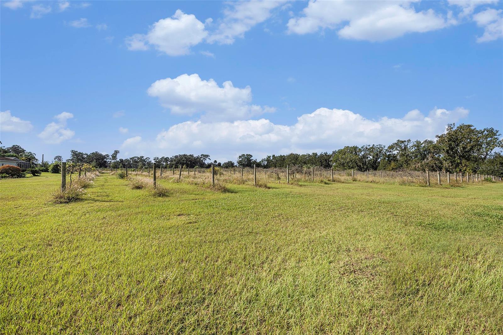 331 LEWIS RD, LITHIA, FL — photo 51