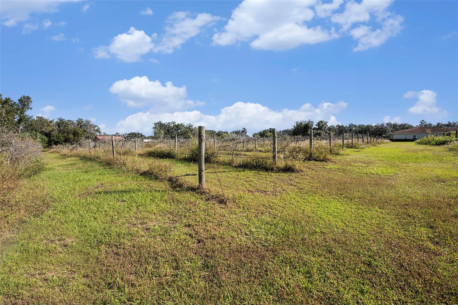 331 LEWIS RD, LITHIA, FL — photo 53