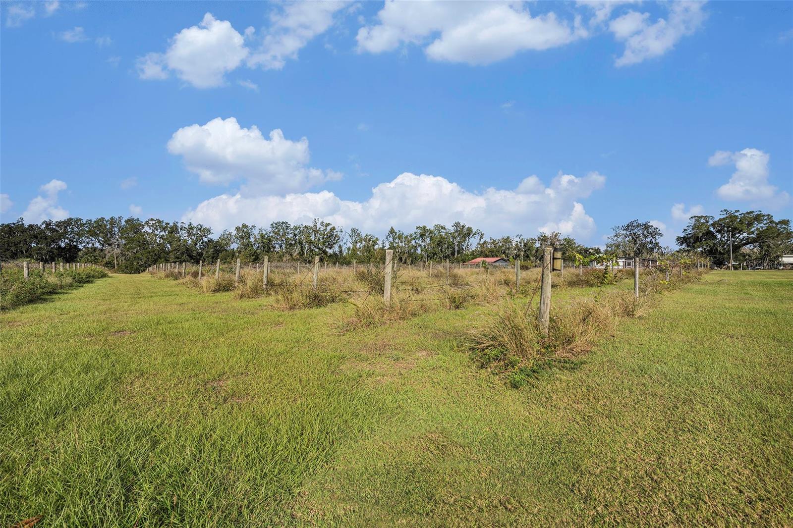 331 LEWIS RD, LITHIA, FL — photo 54