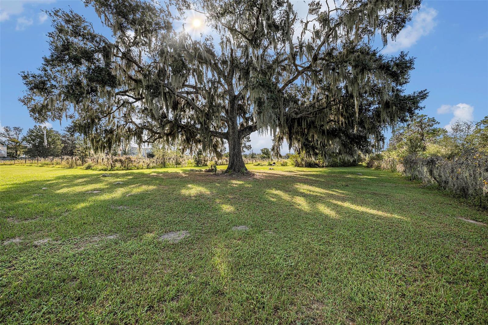 331 LEWIS RD, LITHIA, FL — photo 57