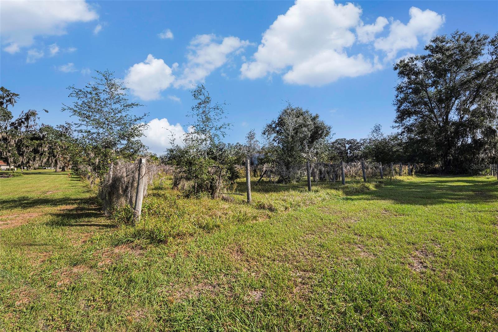 331 LEWIS RD, LITHIA, FL — photo 58
