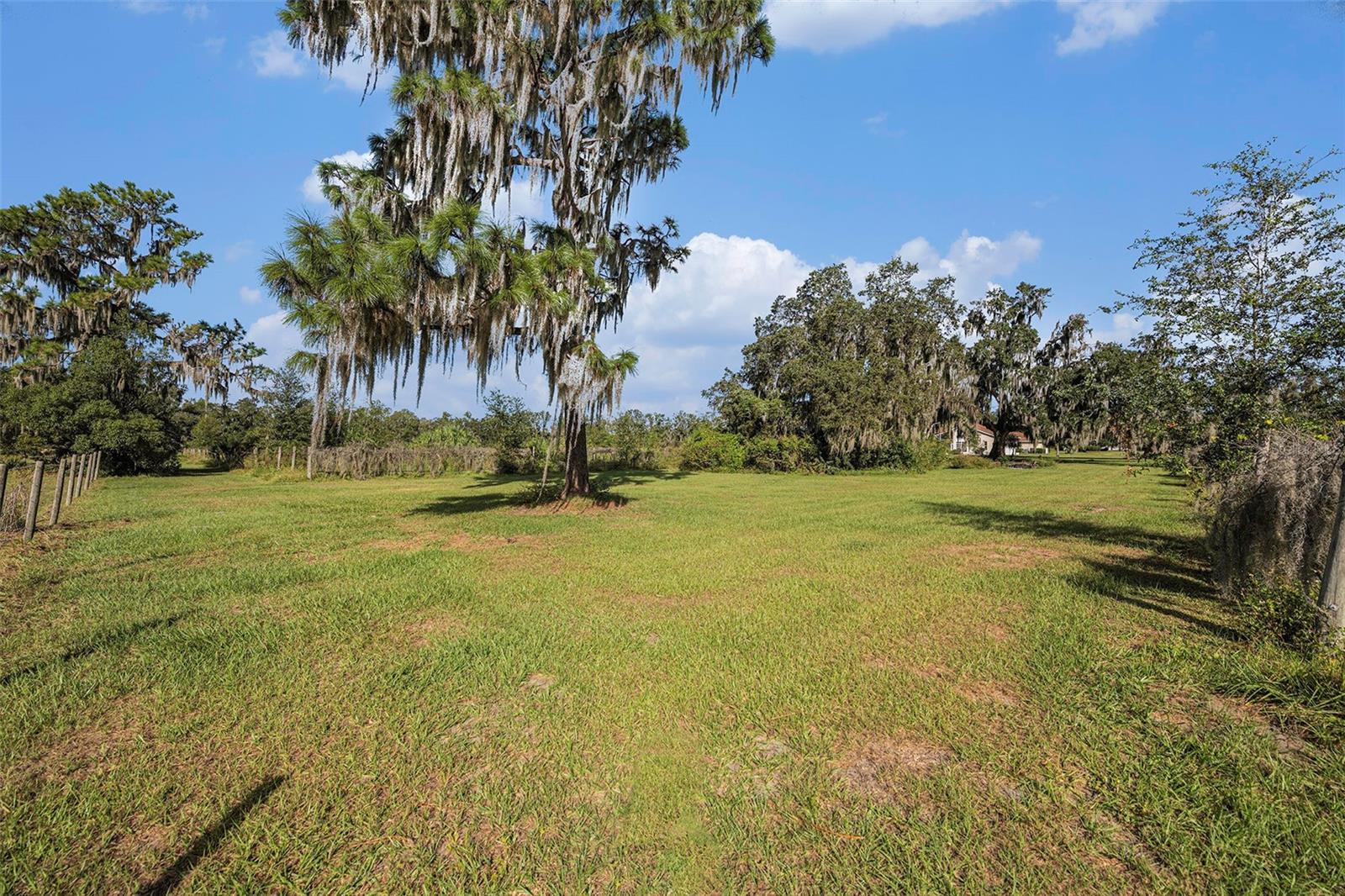 331 LEWIS RD, LITHIA, FL — photo 59