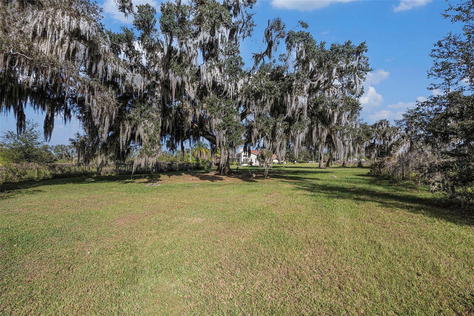 331 LEWIS RD, LITHIA, FL — photo 60