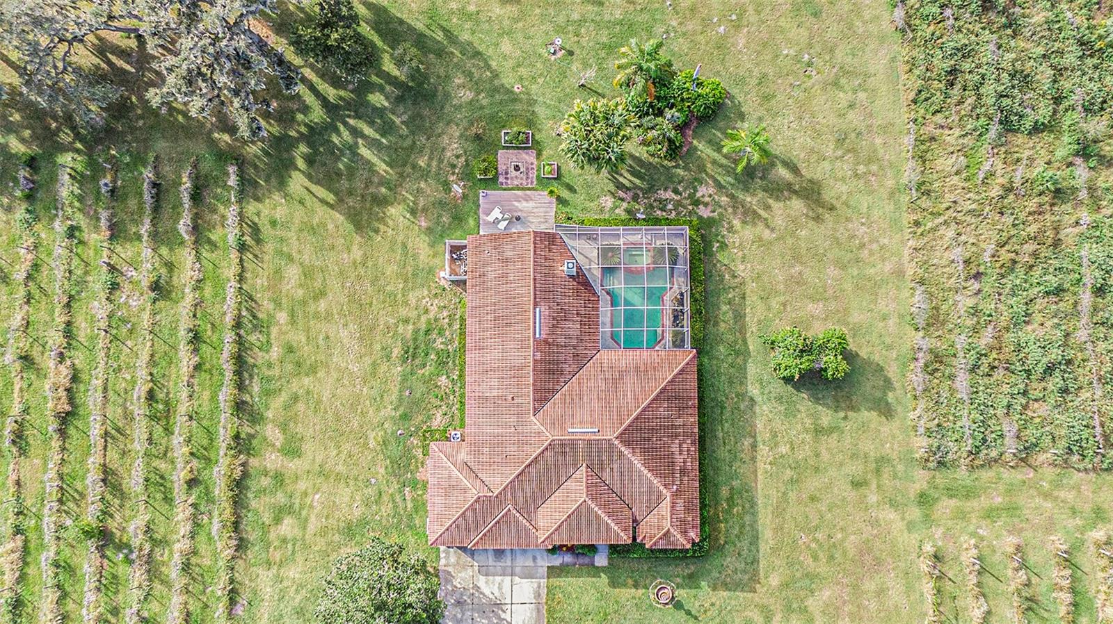331 LEWIS RD, LITHIA, FL — photo 62