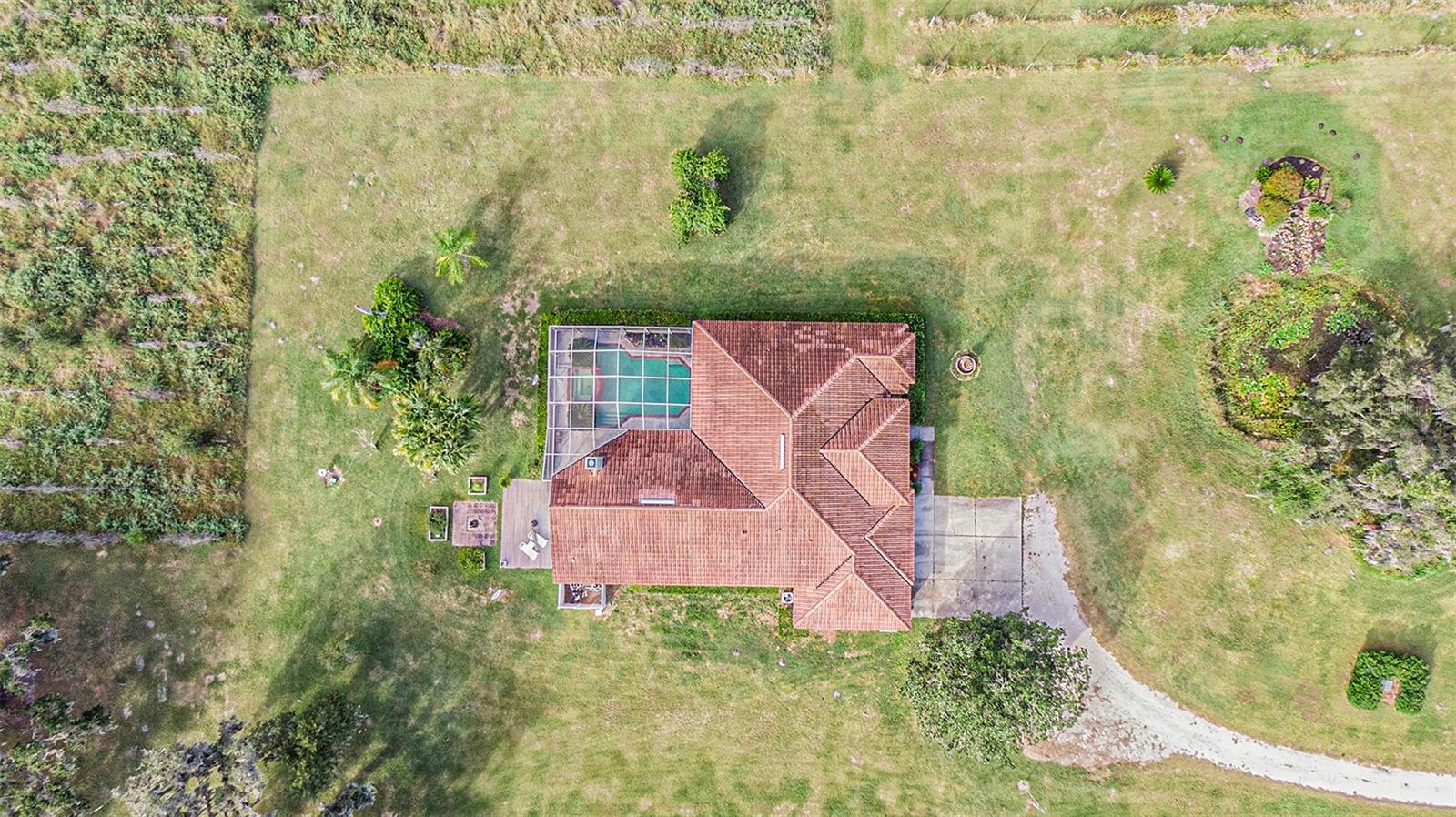 331 LEWIS RD, LITHIA, FL — photo 63