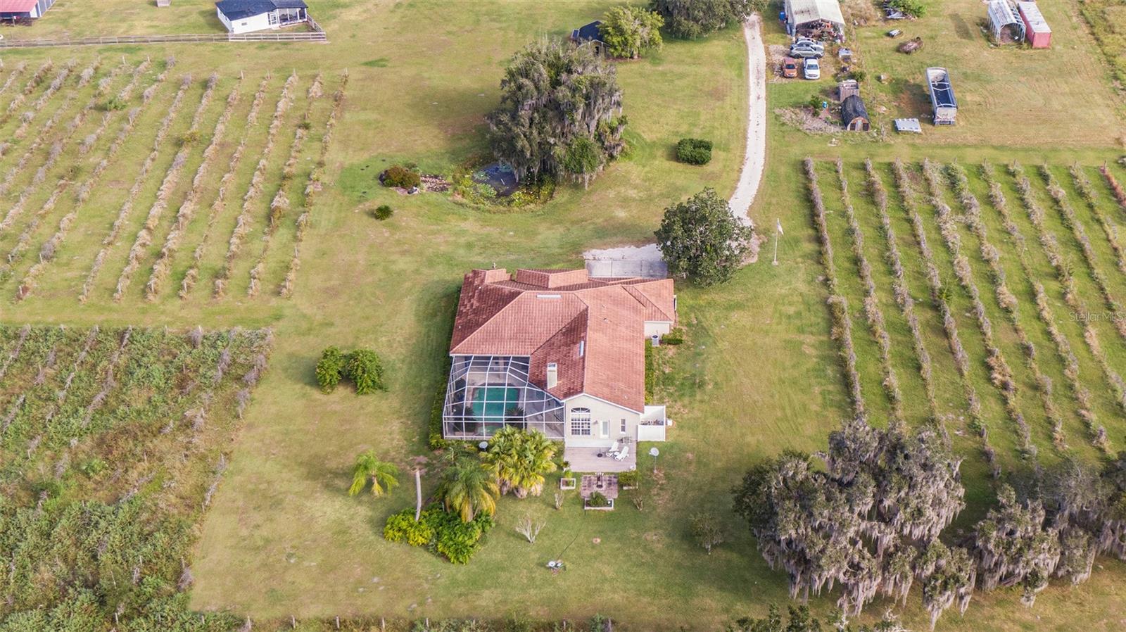 331 LEWIS RD, LITHIA, FL — photo 64