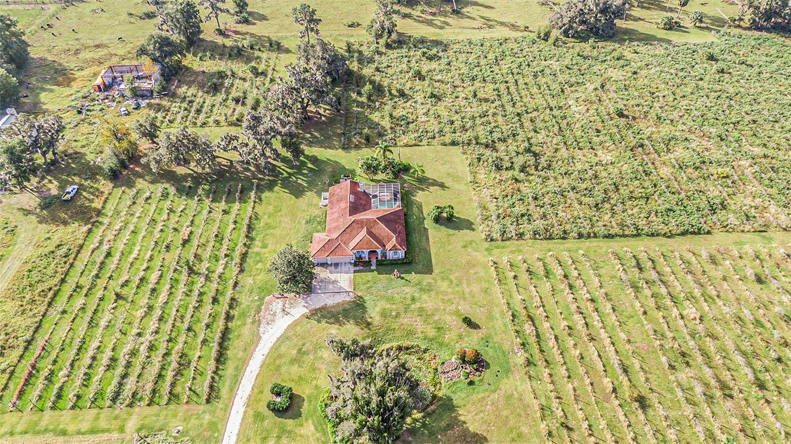 331 LEWIS RD, LITHIA, FL — photo 66