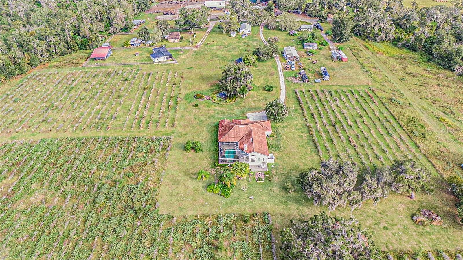 331 LEWIS RD, LITHIA, FL — photo 67