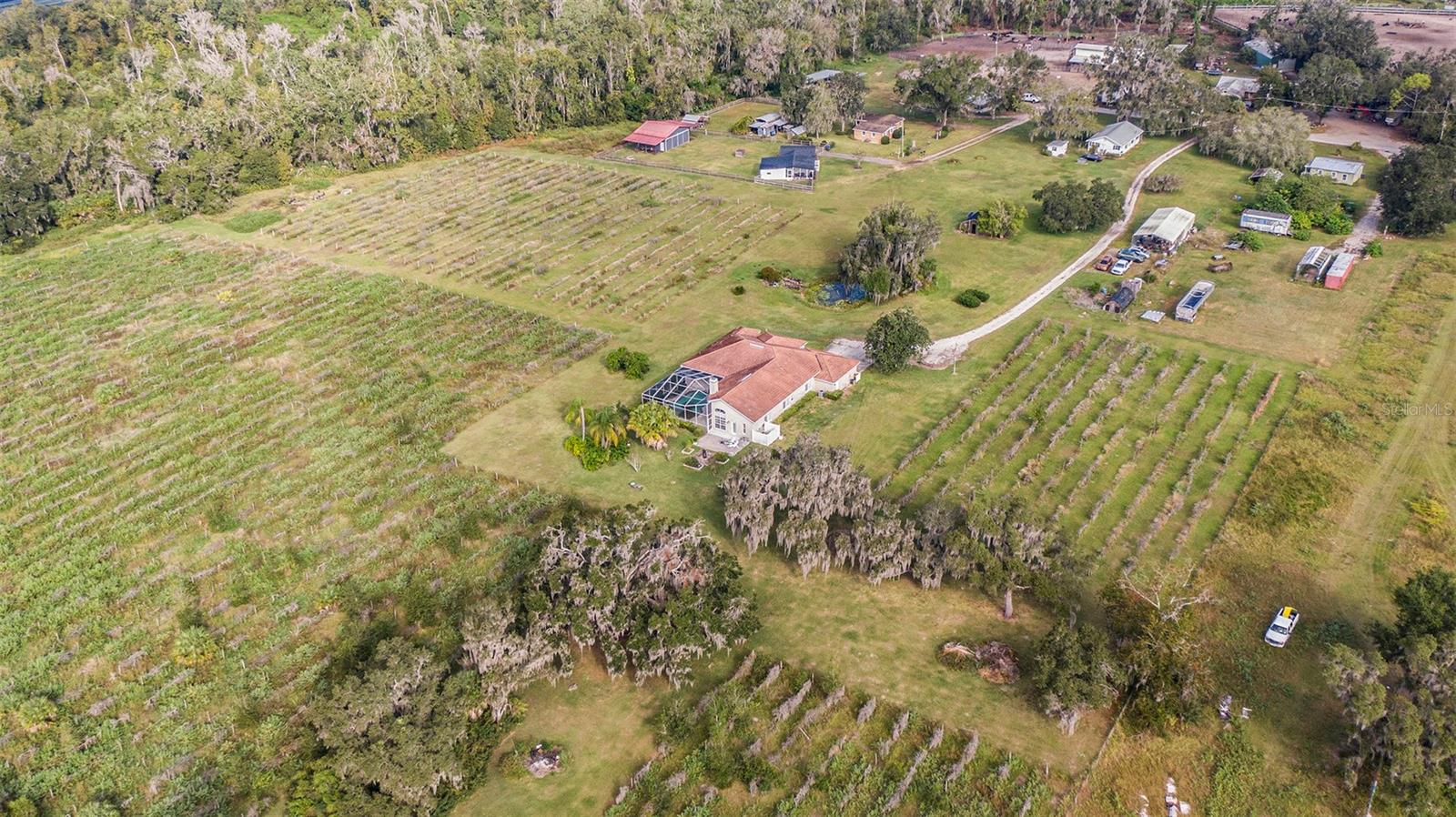 331 LEWIS RD, LITHIA, FL — photo 68
