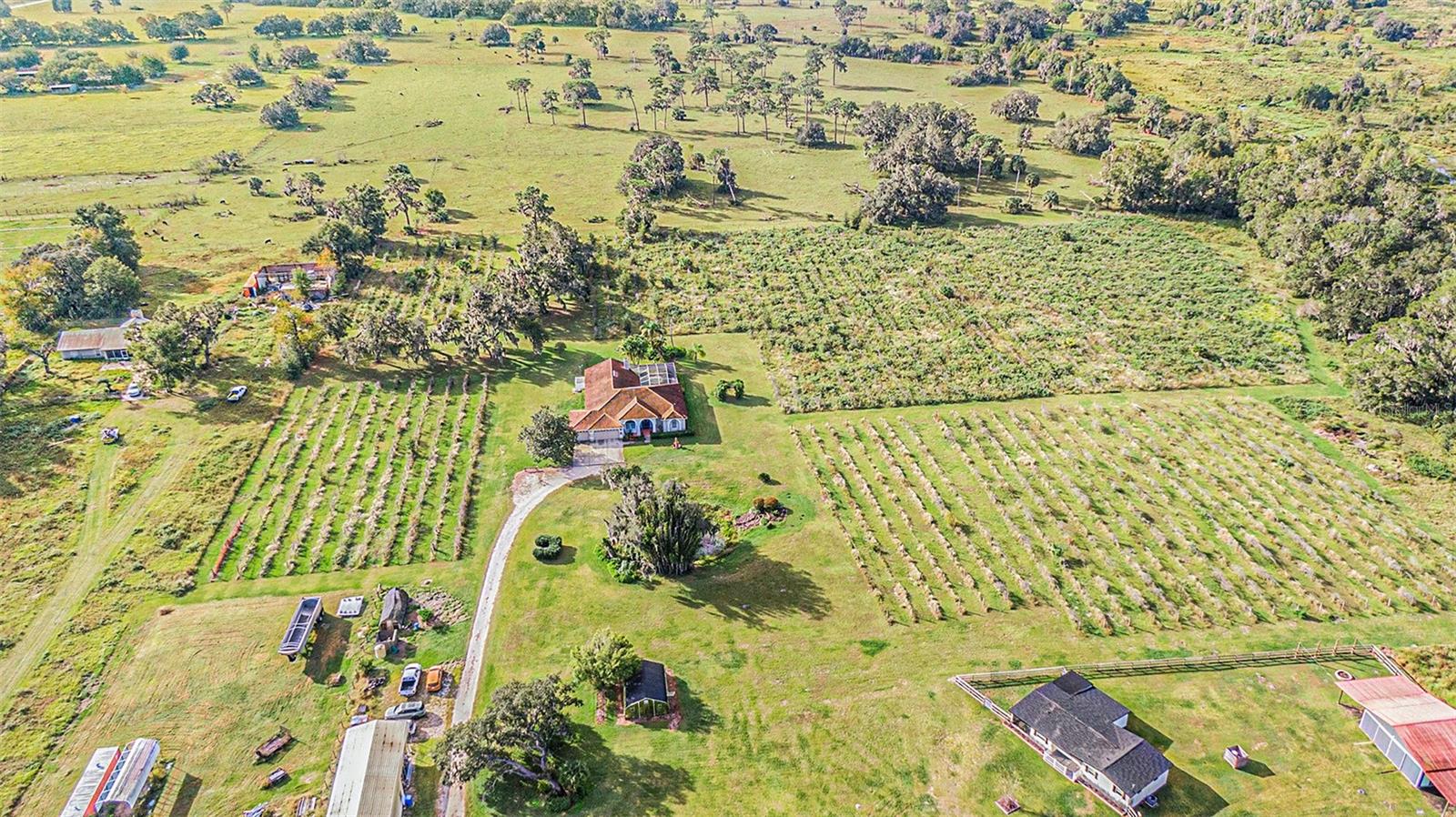 331 LEWIS RD, LITHIA, FL — photo 70