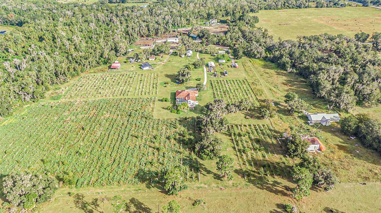 331 LEWIS RD, LITHIA, FL — photo 71