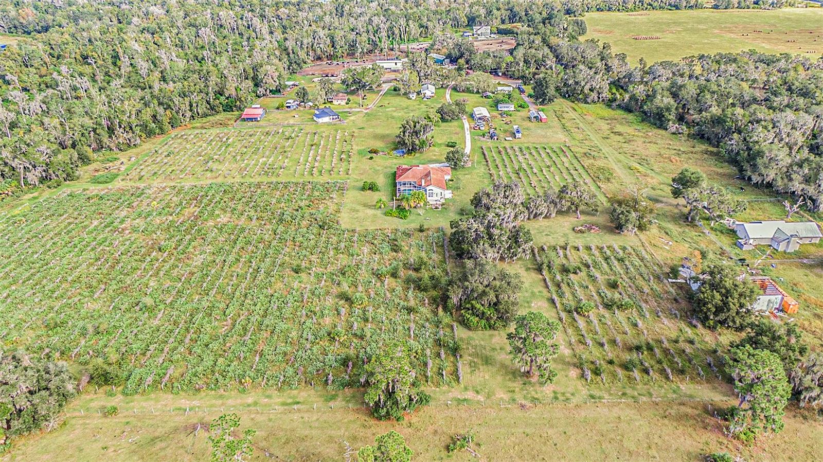 331 LEWIS RD, LITHIA, FL — photo 72