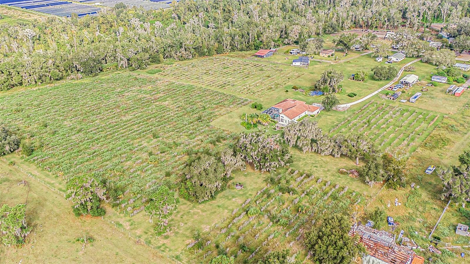 331 LEWIS RD, LITHIA, FL — photo 73