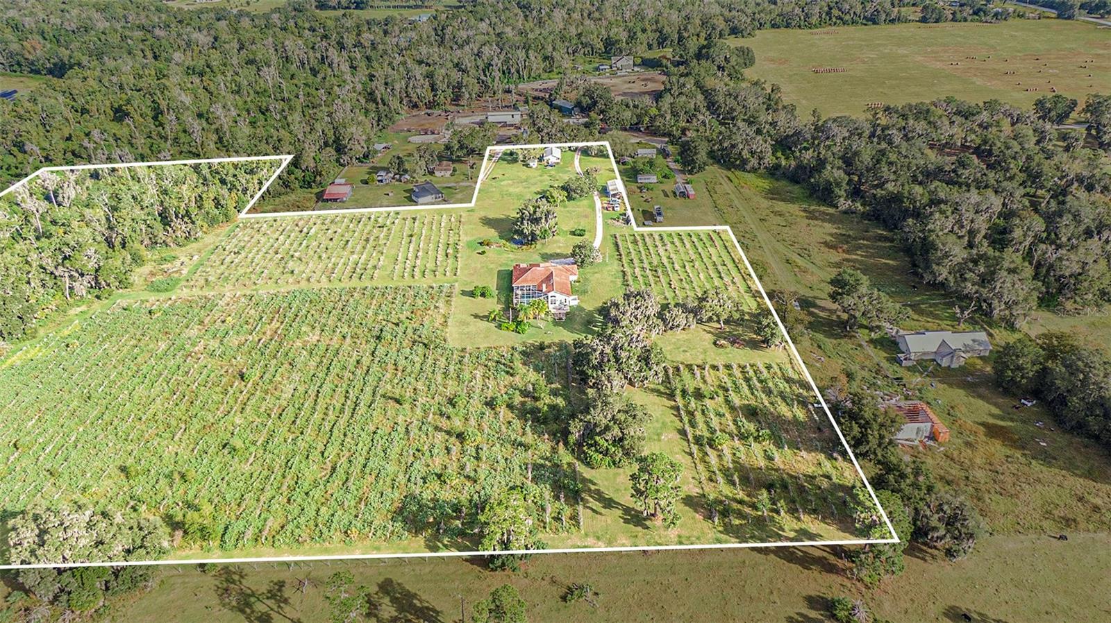 331 LEWIS RD, LITHIA, FL — photo 74