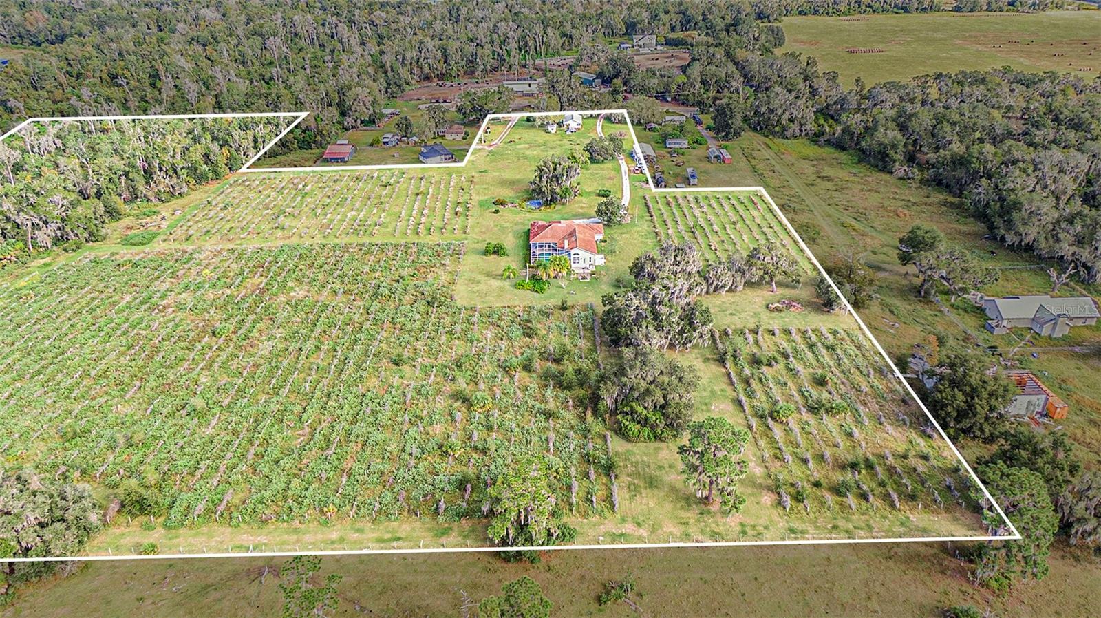 331 LEWIS RD, LITHIA, FL — photo 75