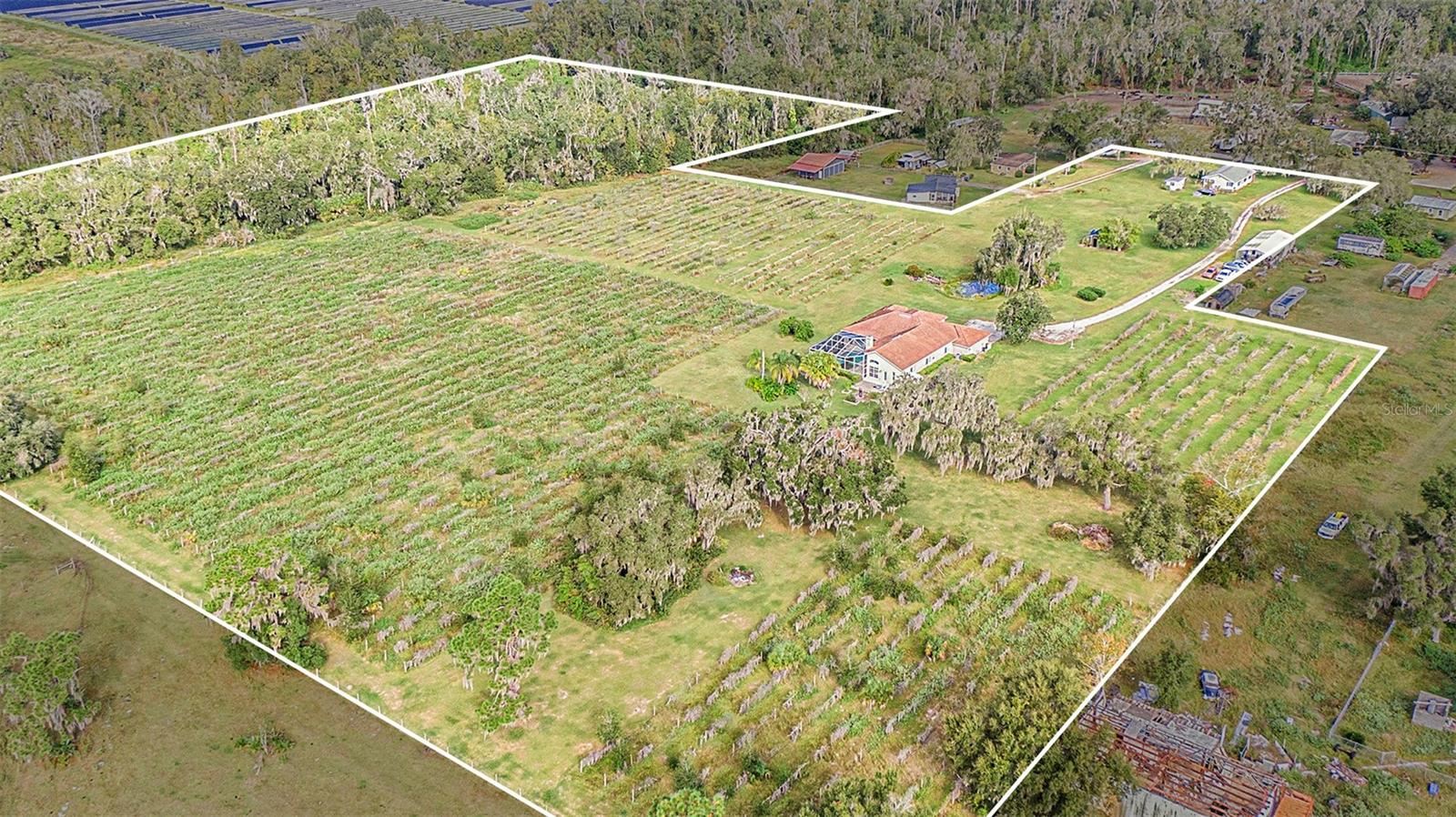 331 LEWIS RD, LITHIA, FL — photo 76
