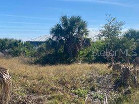 14272 AURELLA CIR, PORT CHARLOTTE, FL — photo 9