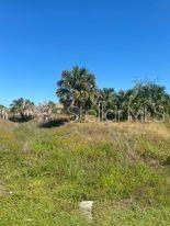 14272 AURELLA CIR, PORT CHARLOTTE, FL — photo 11