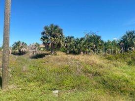 14272 AURELLA CIR, PORT CHARLOTTE, FL — photo 12