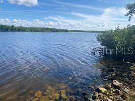 14272 AURELLA CIR, PORT CHARLOTTE, FL — photo 17
